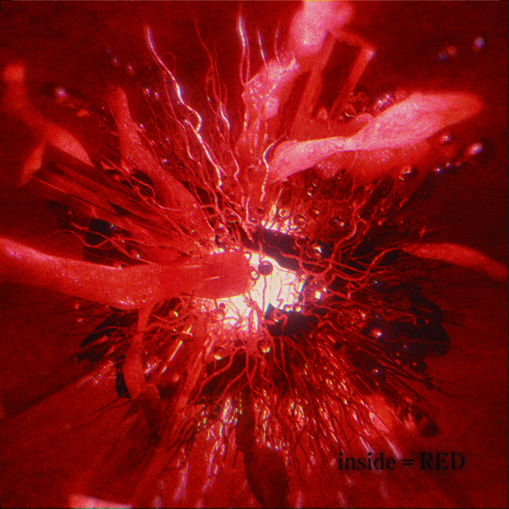 6th mini album「inseide = RED」